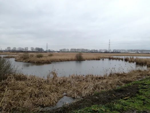 Plains of Zwijndrecht, Antwerp (Belgium)